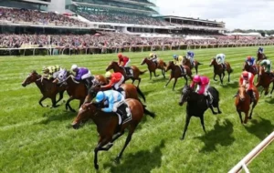 Kinh Nghiệm Tìm Hiểu Cá Cược Đua Ngựa SB365 Đầy Đủ Và Chính Xác Nhất