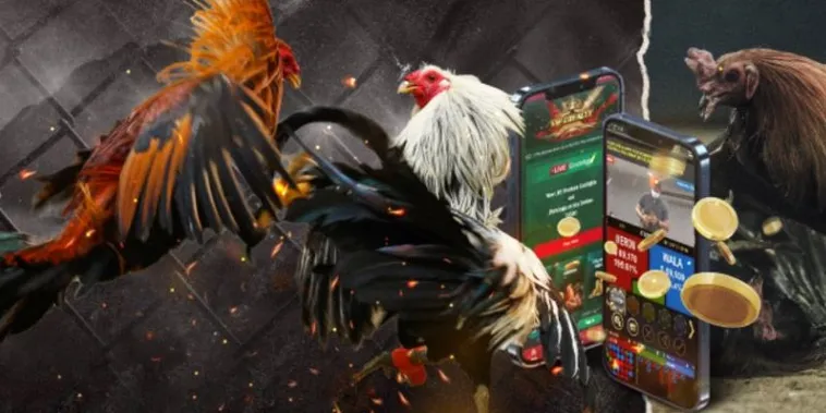 Chinh Phục Đá Gà GA28 Tại SB365 Với Chiến Thuật Độc Quyền 2 Chinh Phục Đá Gà GA28 Tại SB365 Với Chiến Thuật Độc Quyền