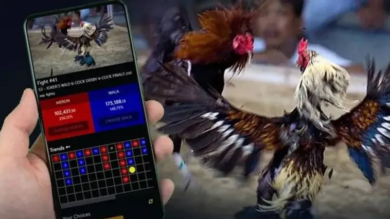 Trải Nghiệm Đá Gà SB365 Đỉnh Cao Với Tỷ Lệ Cược Hấp Dẫn Nhất 2025